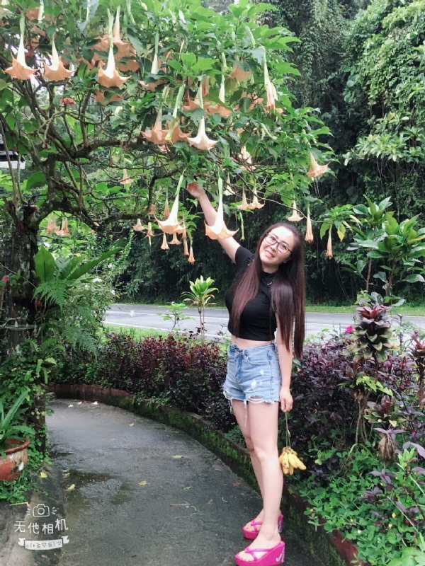 离异单身无子的第二张照片--龙岩交友网