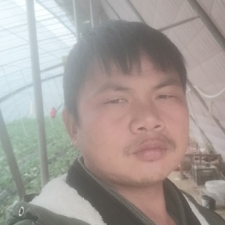 孤狼‘的第一张照片--龙岩交友网