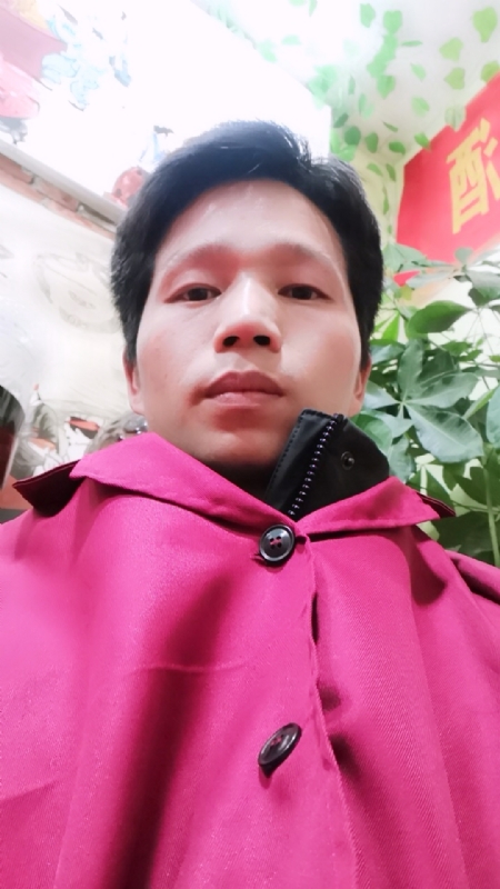单身的林凡的第二张照片--龙岩交友网
