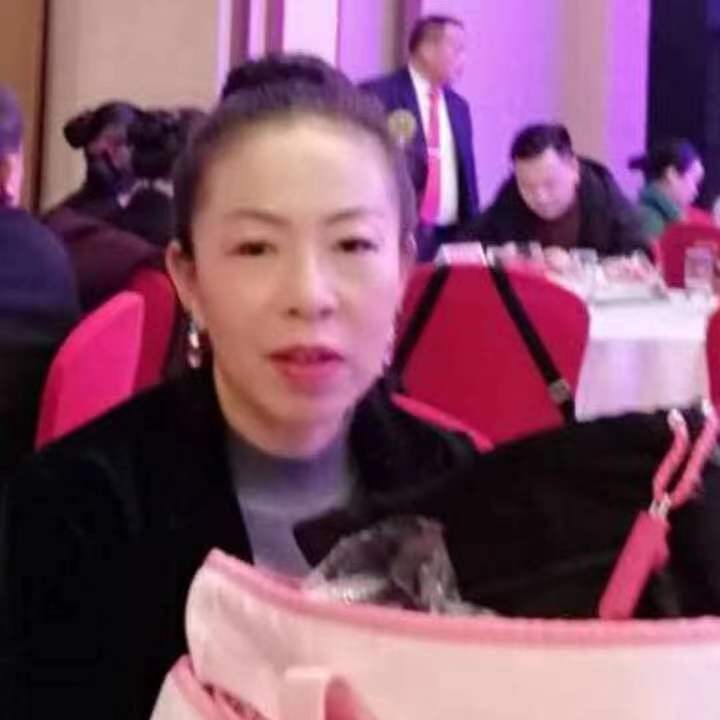 中秋桂花玉兔的第四张照片--龙岩交友网